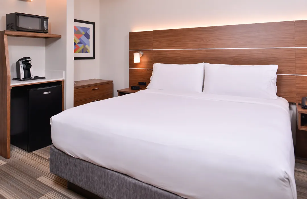 Holiday Inn Express New Orleans - Arts District By Ihg-1