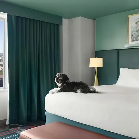 Hotel Tonnelle New Orleans, A Tribute Portfolio Hotel-2